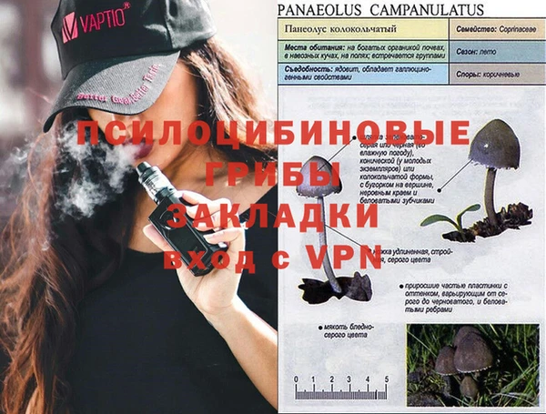 амф Балахна