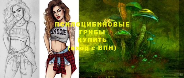 Альфа ПВП Балабаново